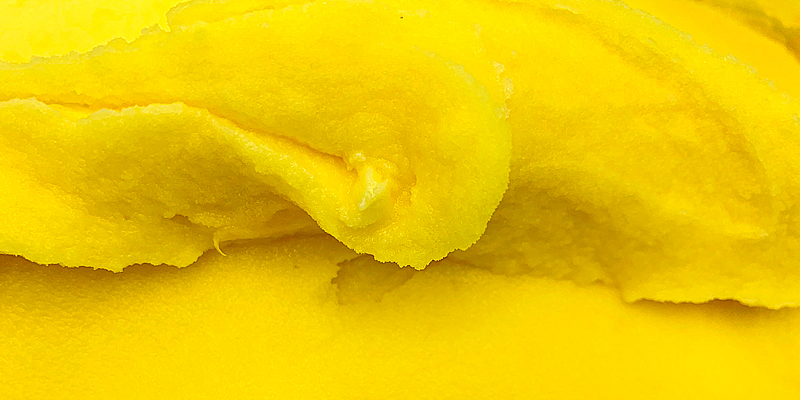 タンカンソルベ（本部町産）